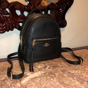Coach Mini Leather Backpack Purse